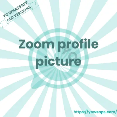 Old Version 5 Zoom profile picture